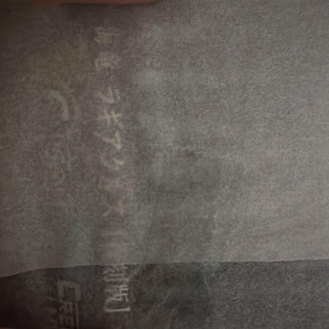 カプコンフィギュアビルダー　クリエイターズモデル　海竜　ラギアクルス　復刻版