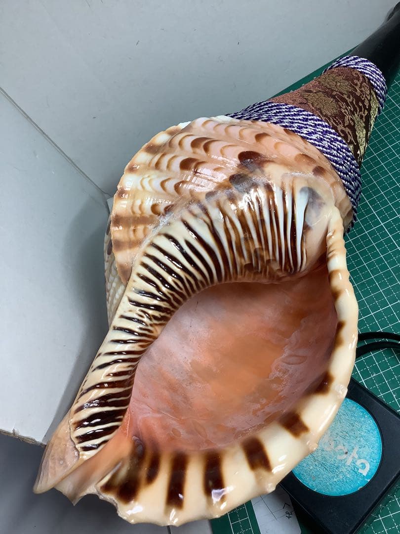 ヤフメリ8・法螺貝・山伏・修験者・羽黒山・金峯山・戦国武将・縁起物・魔除・熊除笛