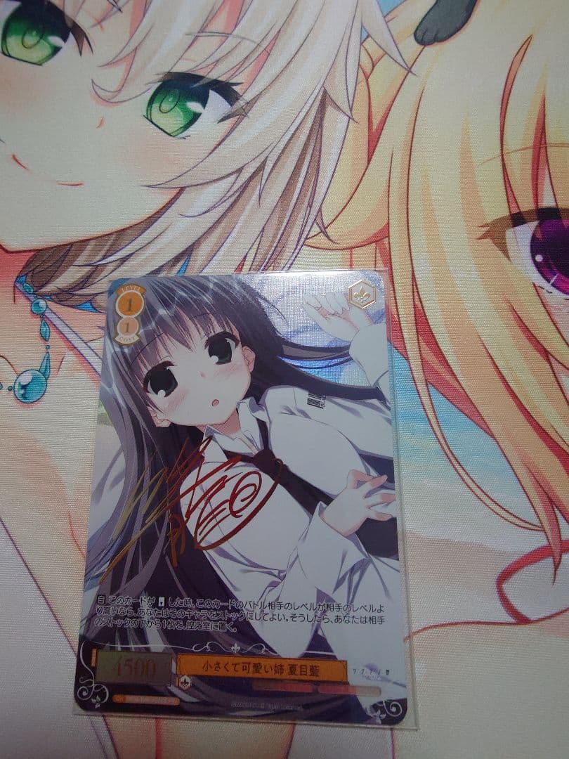 ヴァイスシュヴァルツロゼ　小さくて可愛い姉　夏目藍　PR+