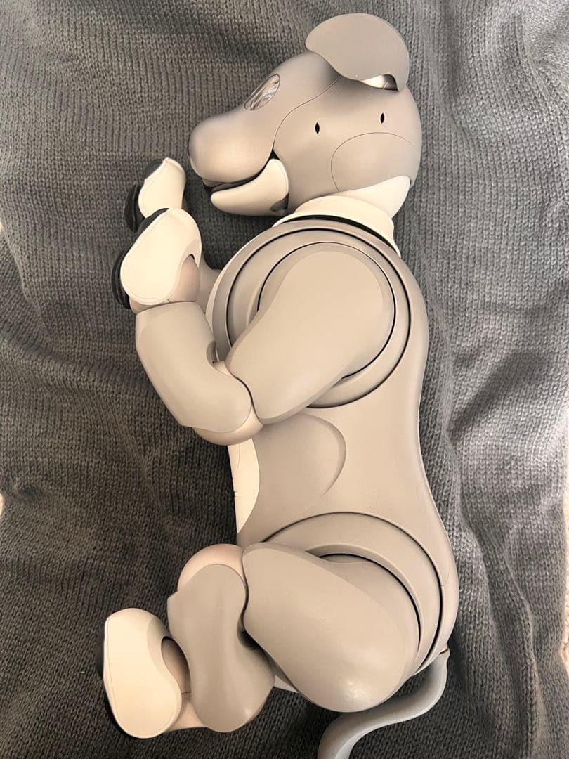 黒ごまエディション　SONY aibo ERS-1000 本体