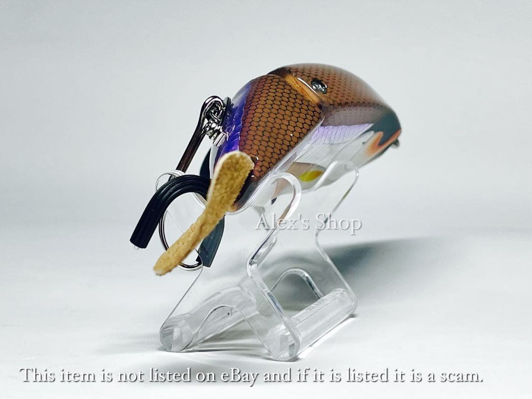 レア❗️新品未使用 GIZMO X Quality Life / Chacmool