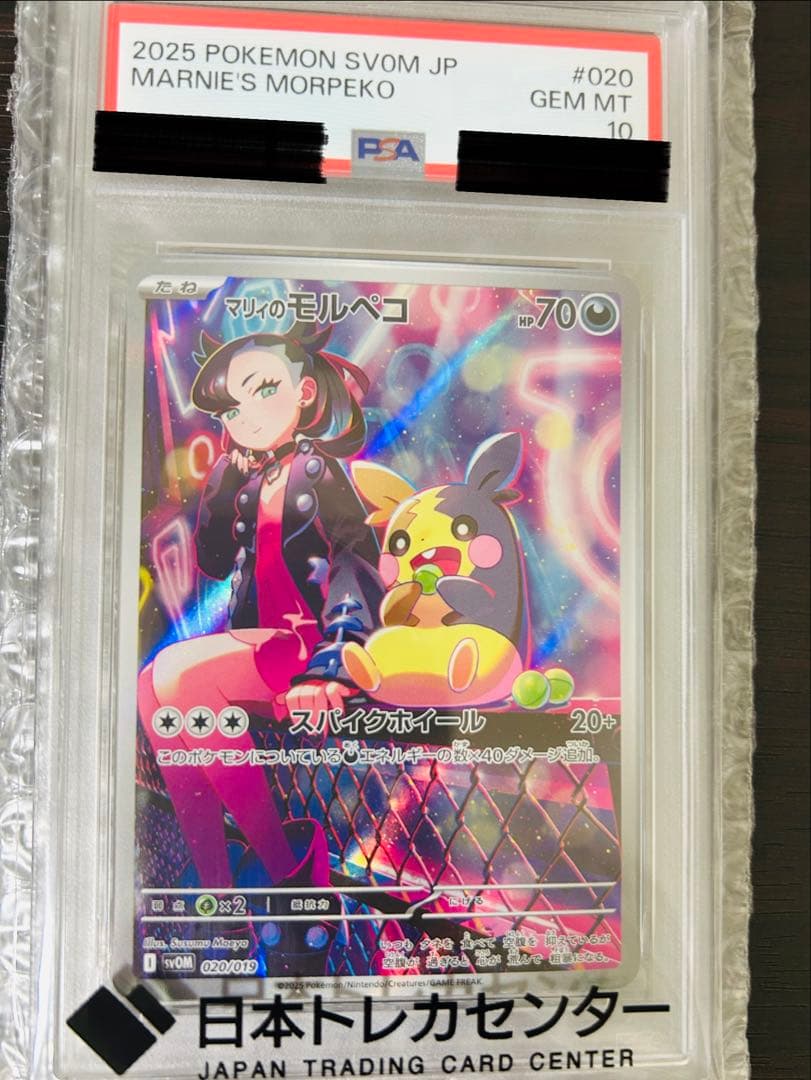 マリィのモルペコ SVOM スターターセットex マリィのモルペコ