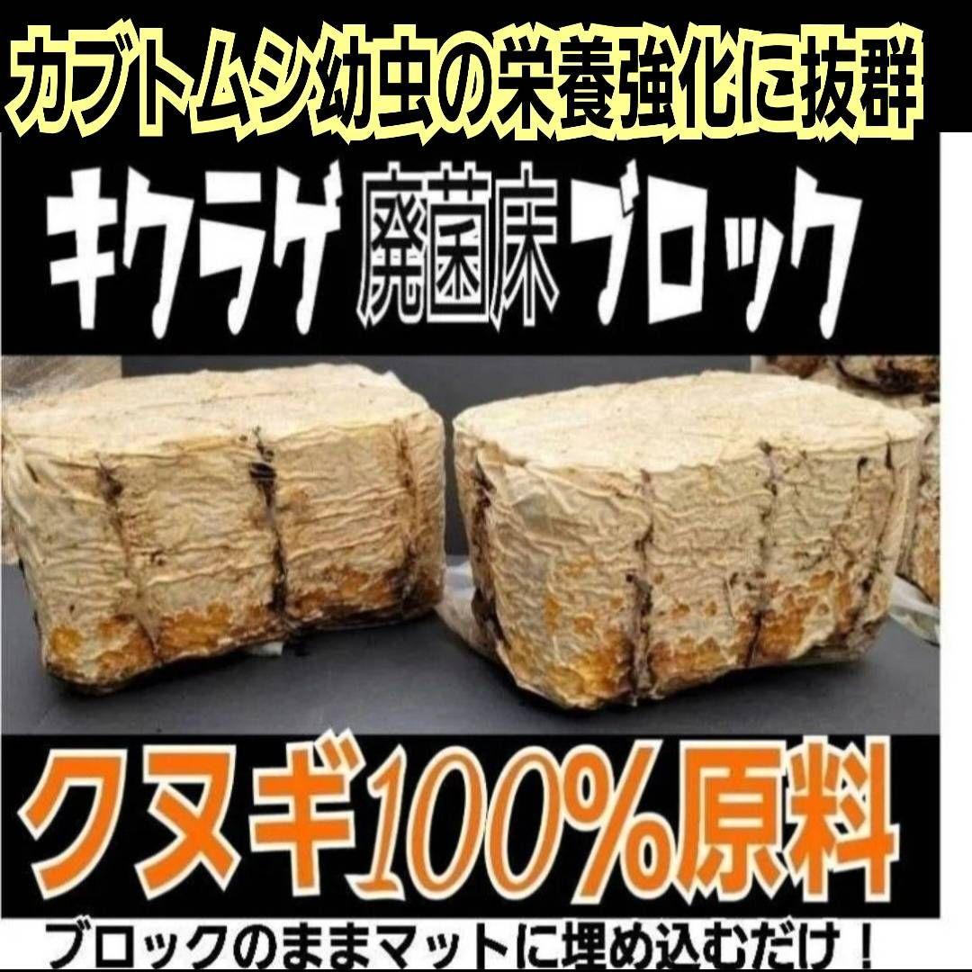 カブトムシ幼虫の栄養強化に抜群！マットに埋めるだけ！キクラゲ菌床ブロック　25個