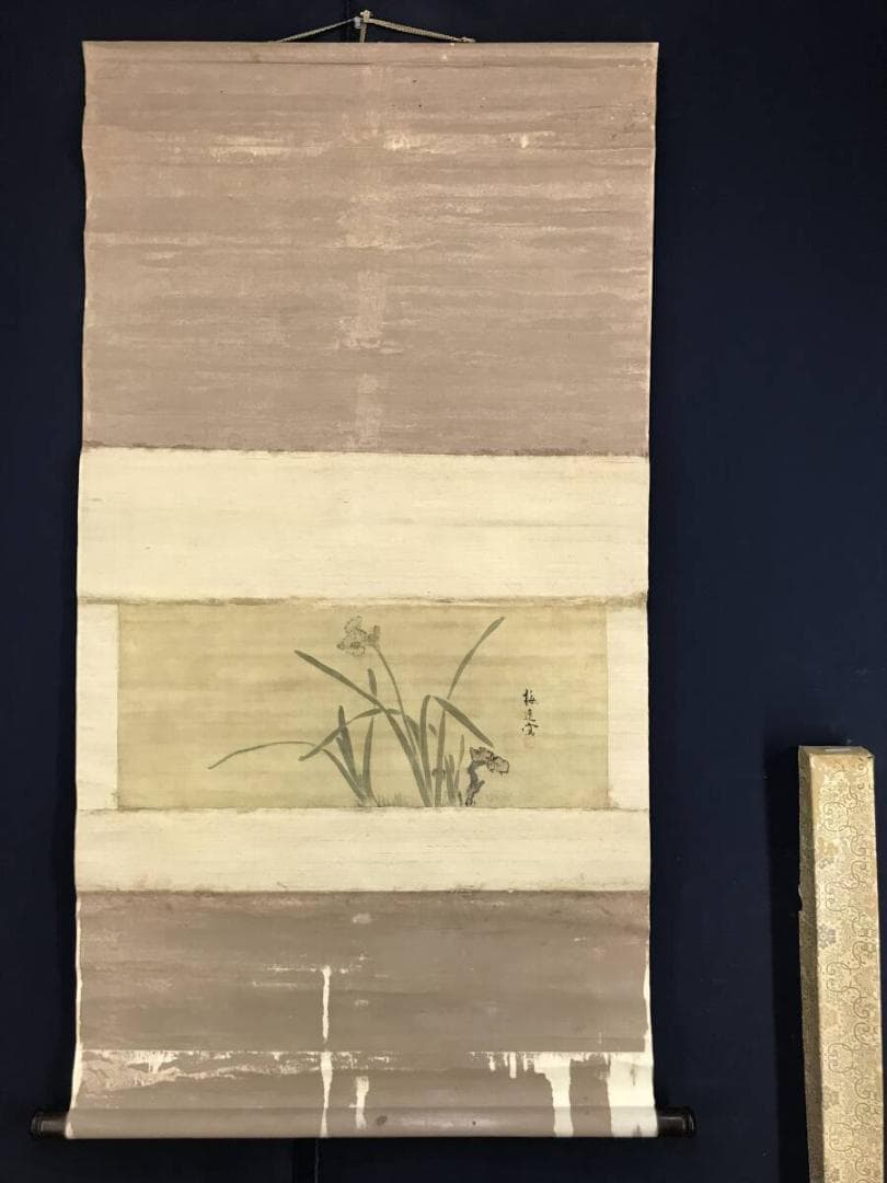 模写/山本梅逸/水仙図/スイセン図/横物/掛軸☆宝船☆AH-780