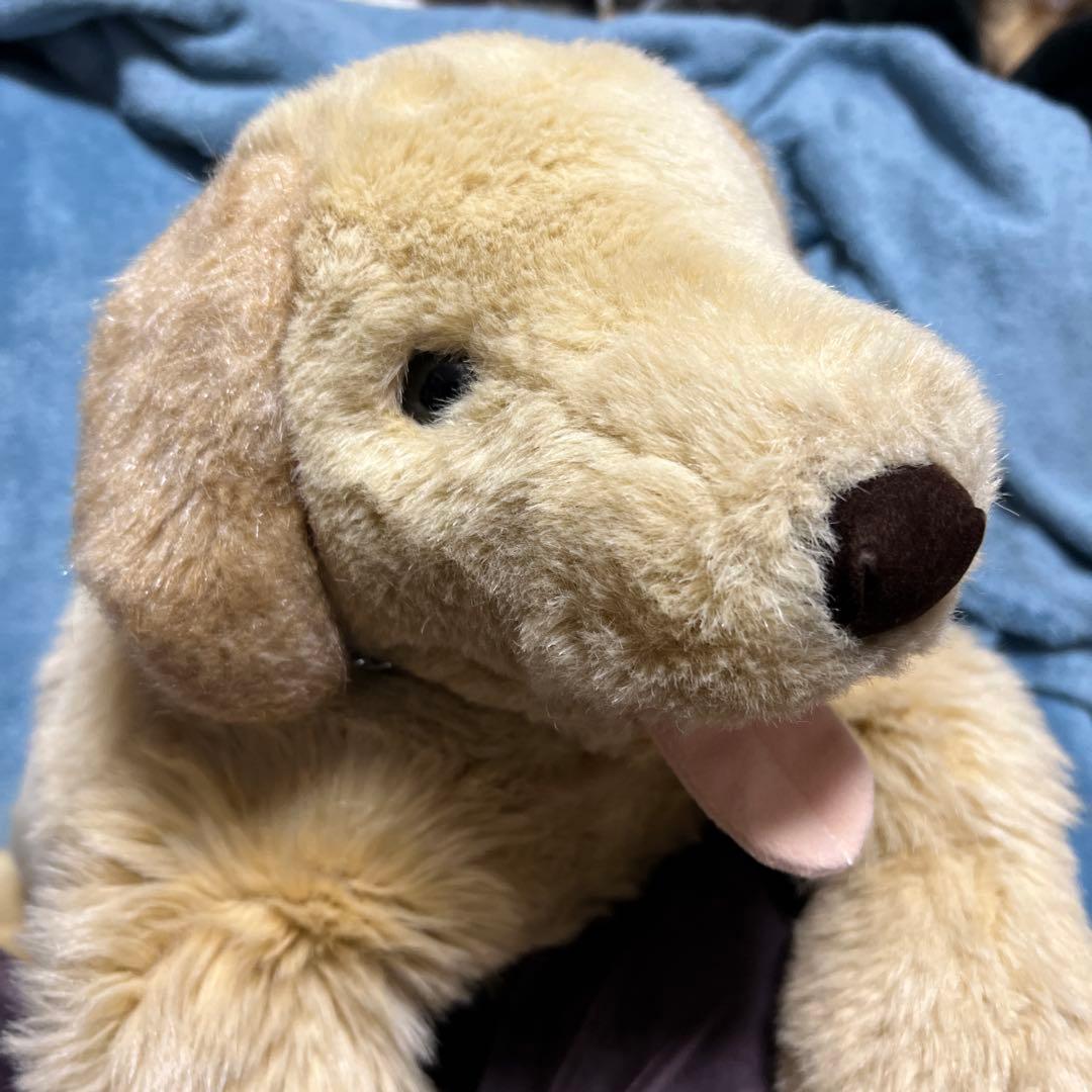 吉徳　ゴールデンレトリバー　ぬいぐるみ　BIGサイズ　Lサイズ　かわいい　ペット