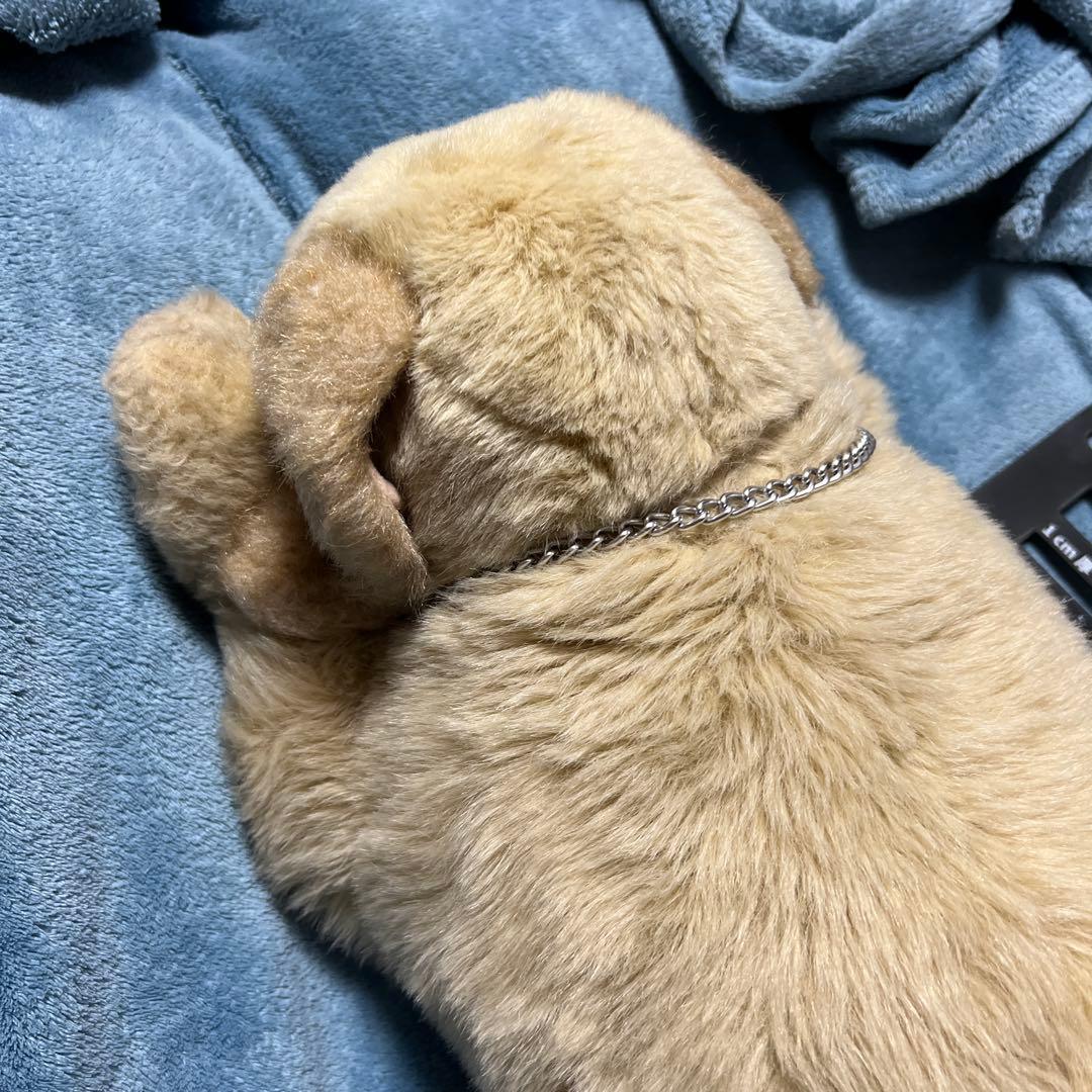 吉徳　ゴールデンレトリバー　ぬいぐるみ　BIGサイズ　Lサイズ　かわいい　ペット