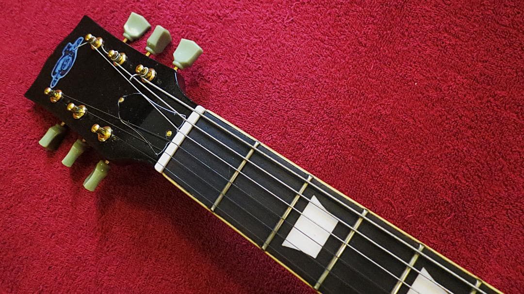 LPLH　豪華仕様ラッカー塗装コイルタップBL　アルニコV　レフティ　左