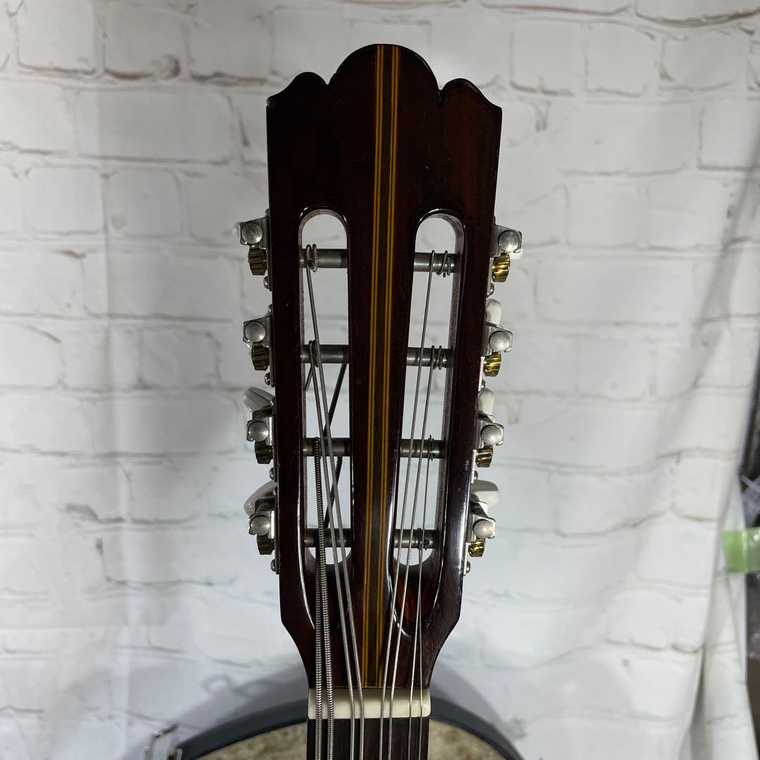 SUZUKI MANDOCELLO スズキ マンドチェロ MC-836