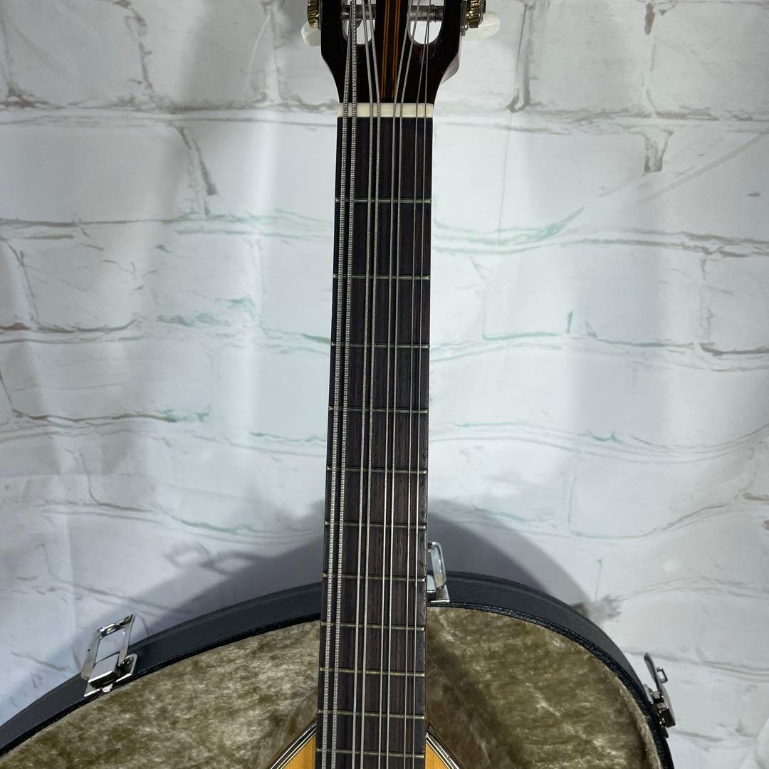 SUZUKI MANDOCELLO スズキ マンドチェロ MC-836
