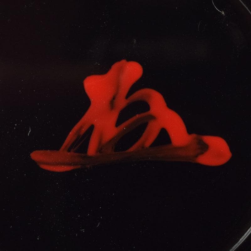 茶道具　朱塗　柿　香合　紫野　小林太玄極め箱　V　9183