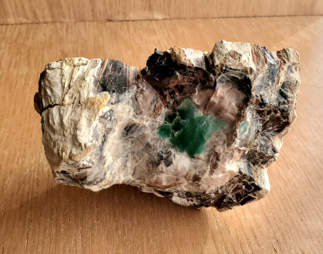 【コレクターズアイテム】オパライズドウッド／クリソコラ