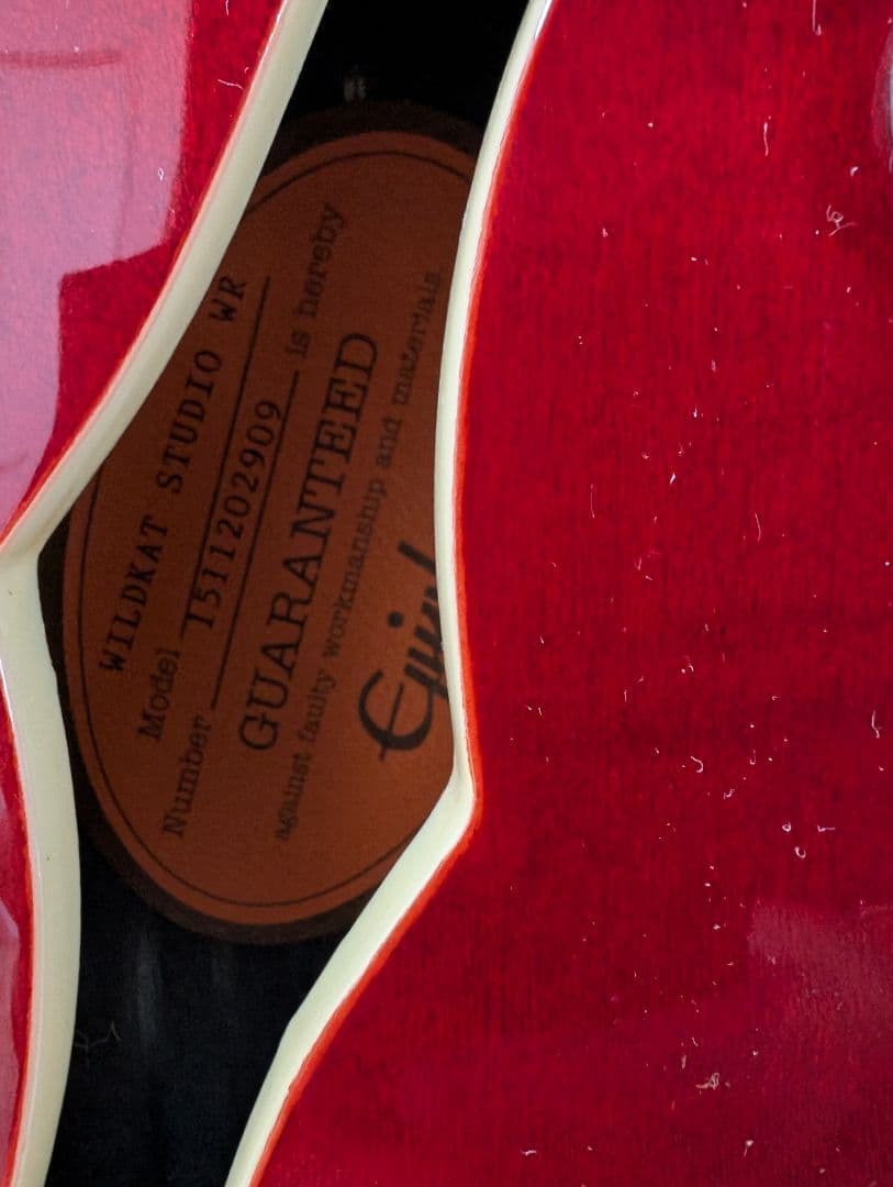 【美品・動作良好】エピフォン ワイルドキャット WILDKAT STUDIO