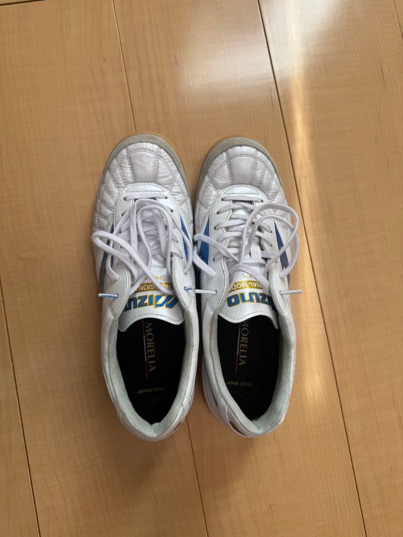 モレリア　サラ　ジャパン　イン　MIZUNO ENERZY 25.5cm