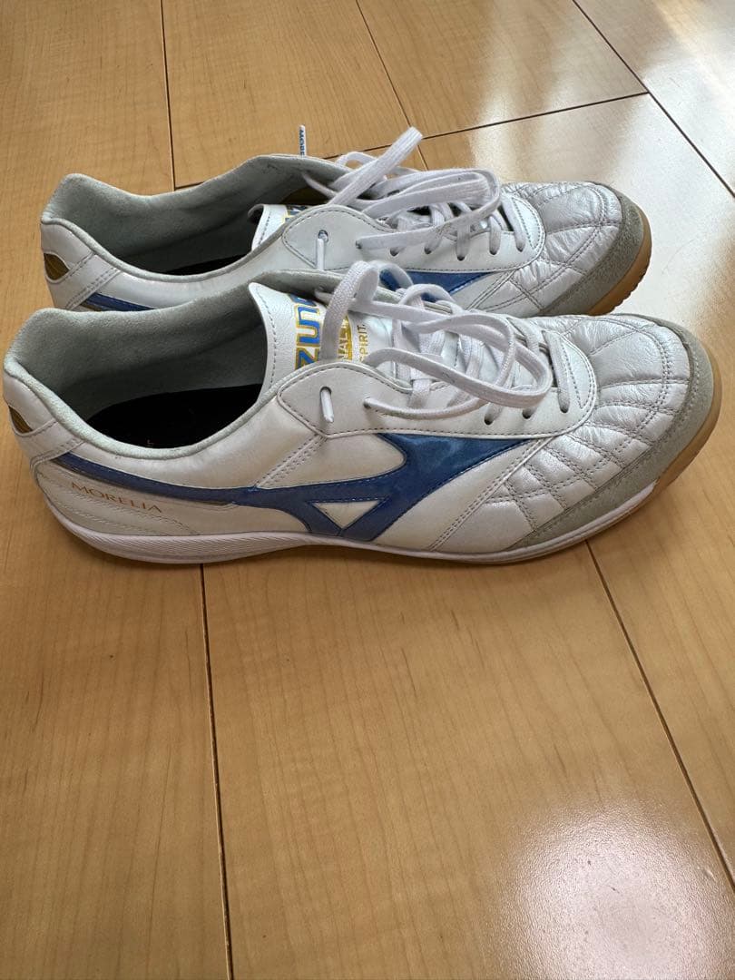 モレリア　サラ　ジャパン　イン　MIZUNO ENERZY 25.5cm