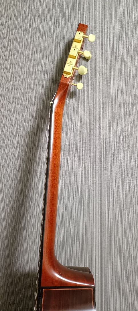 マカフェリ ARIA MM-10 ケース付き