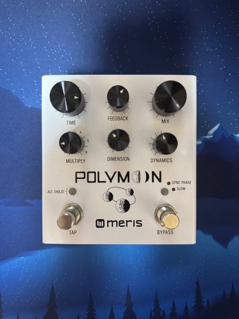 meris Polymoon ディレイペダル