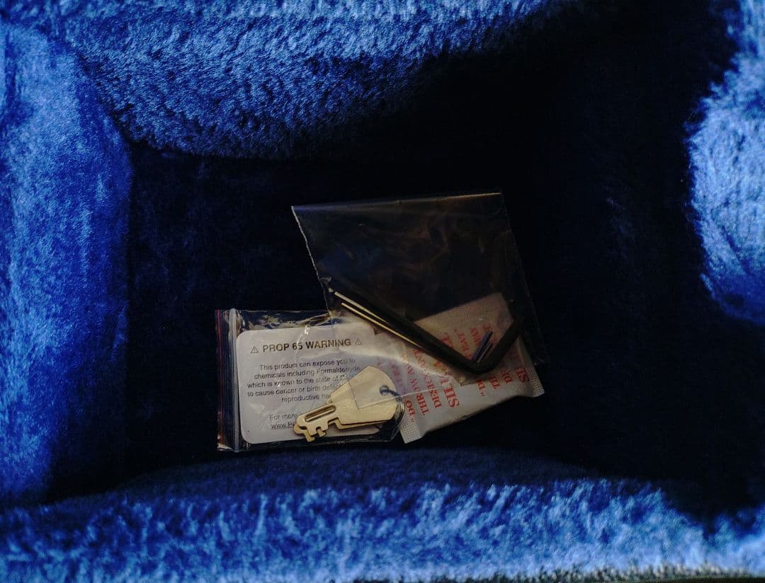 VOX Bobcat V90 Black ハードケース付き