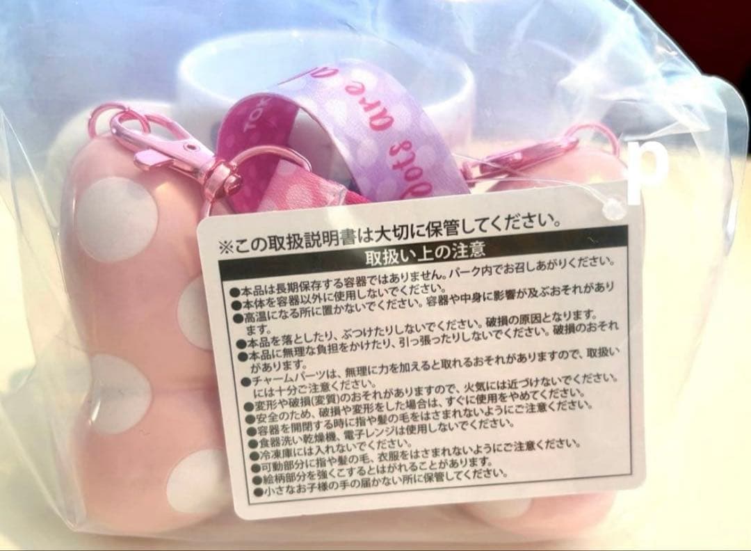 ディズニー　パルパルーザ　ミニー　ファンダーランド　スーベニア4点