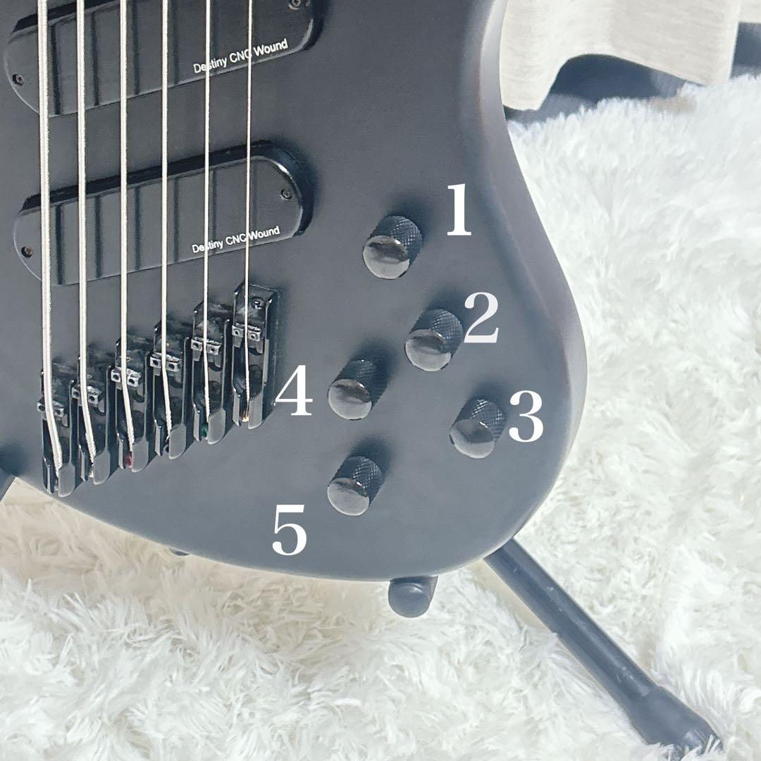 希少　6弦ベース　ベース　6弦 iyv オーダー　カスタム