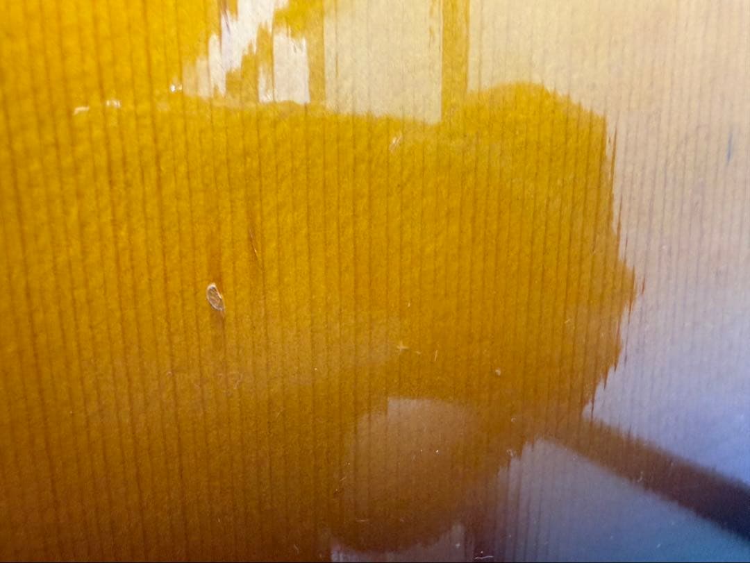 【中古品】Morris モーリス 国産フォークギター ソフトケース付き