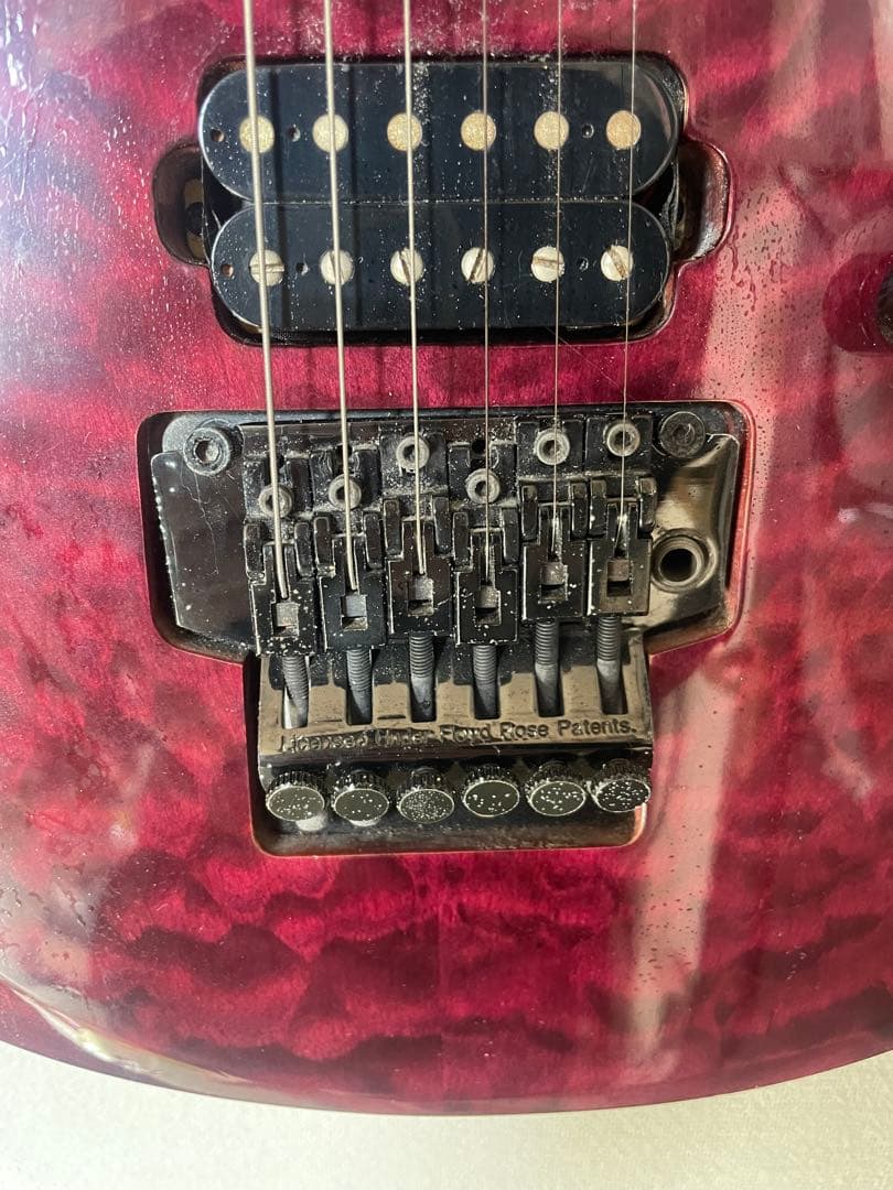 ギター　グラスルーツ　フォレスト　GRASS ROOTS