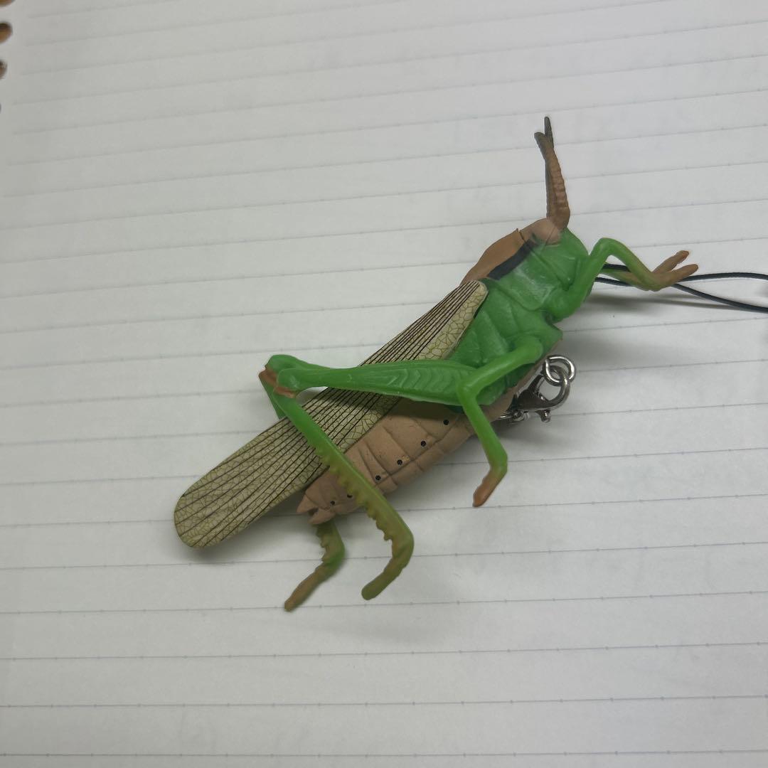 大金運キーホルダー／高額当選／座敷わらし／億万長者／金運アップ チョウピラコ