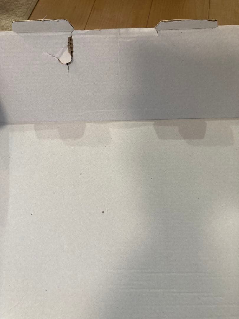 Loona ルーナ　ロボット