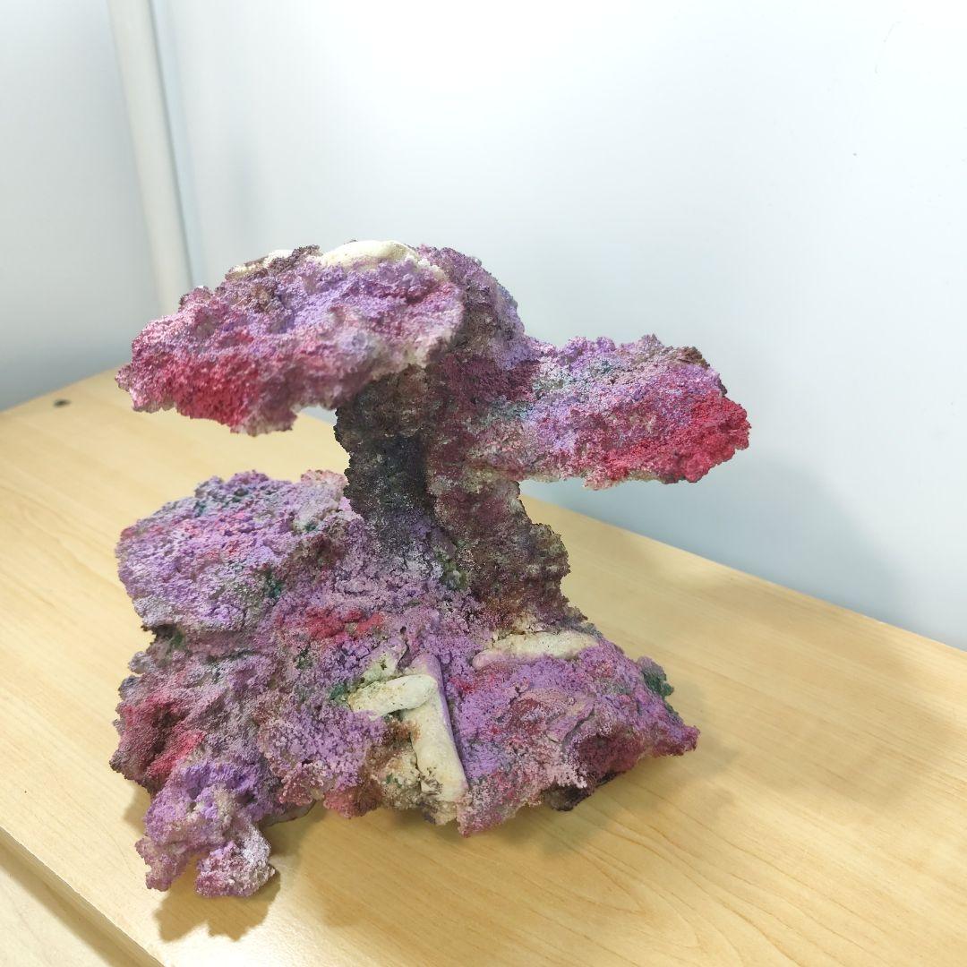 ✏新品アク抜き不要 人工ライブロック レプリカ 30cmキューブ以上海水水槽用2