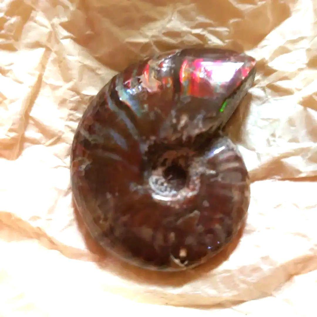 アンモナイトオパール