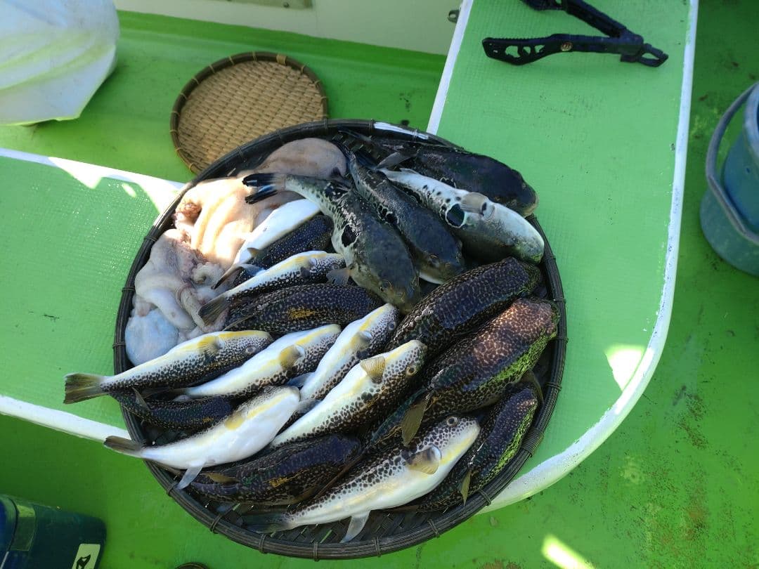 ★美品★湾ふぐロッドSHIMANO BAYGAME 船竿 180cm CI4+