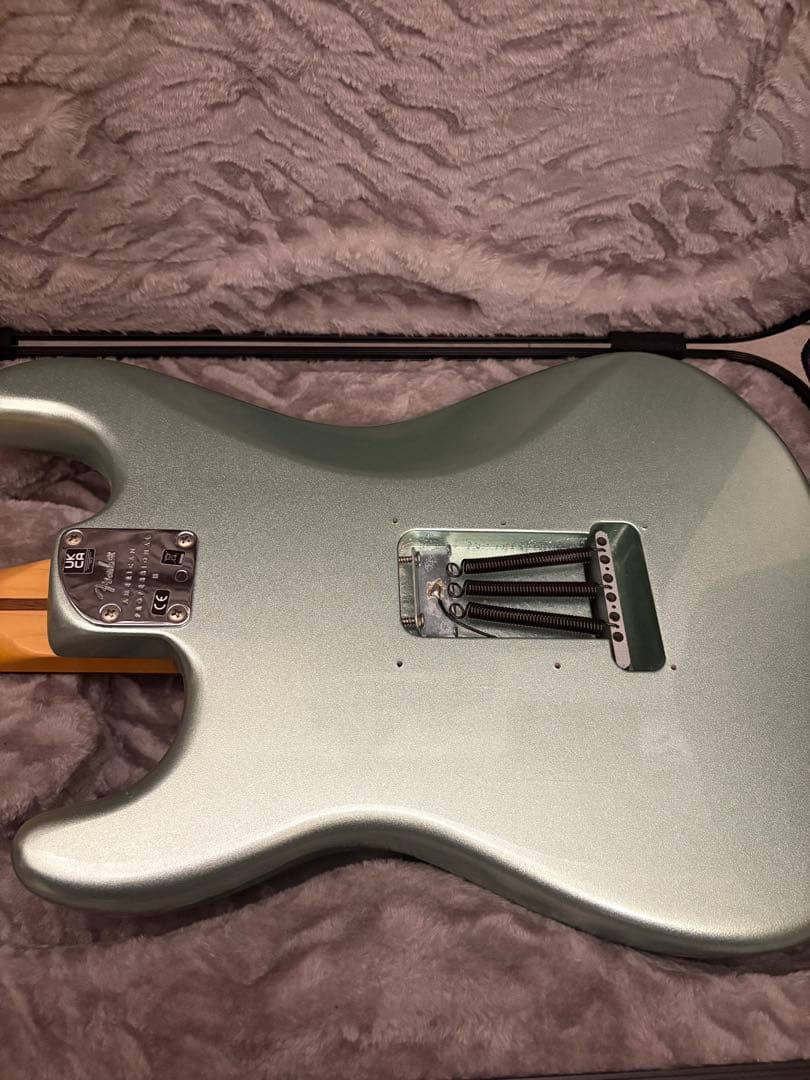 FenderAmericanProfessional IIストラ トキャスター