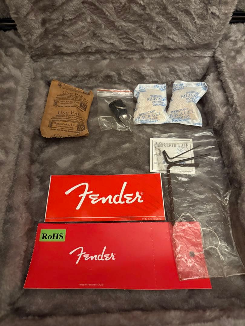 FenderAmericanProfessional IIストラ トキャスター