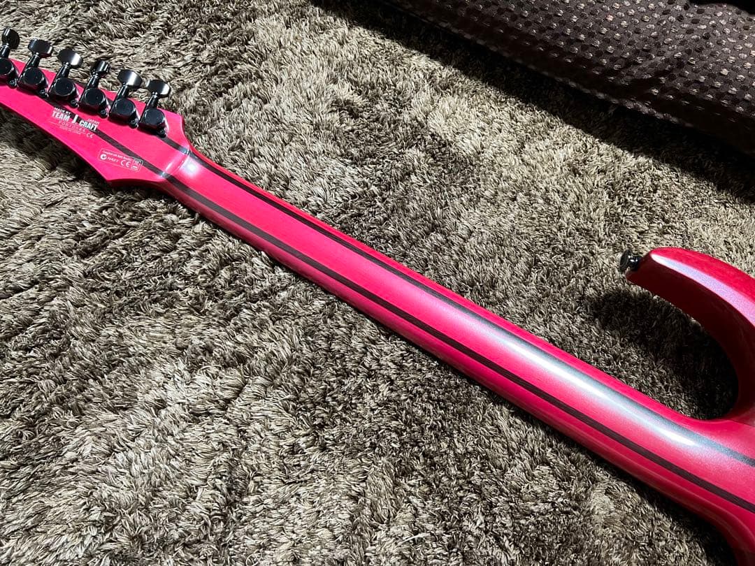 Ibanez RGT320 プレステージ　激レア！フジゲン製！