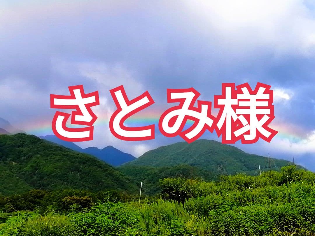 さとみ様　大和百目　甲州百目　大蜂屋　サンふじ　枯露柿　干し柿　あんぽ柿