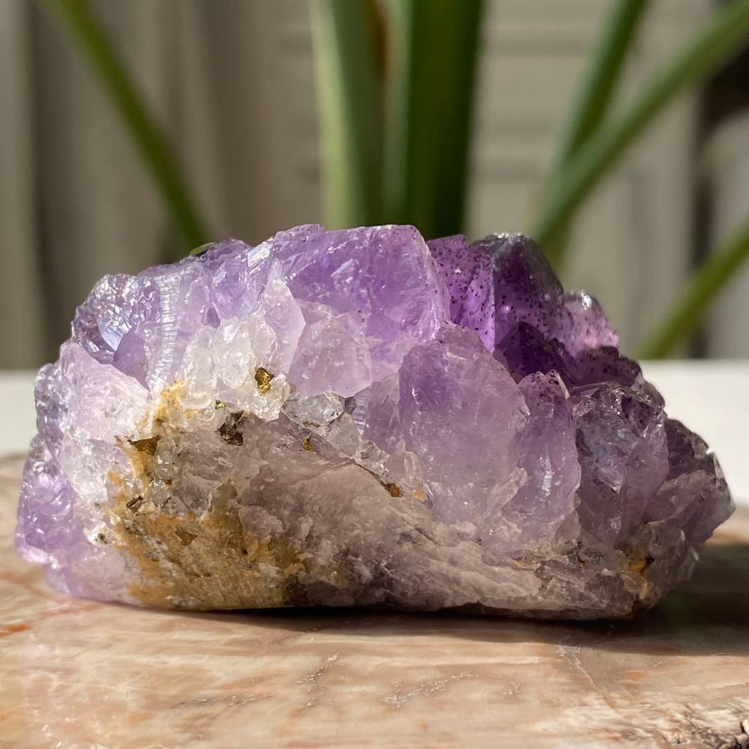 ヤシの実様　お受け取りまでのご確認用ページ