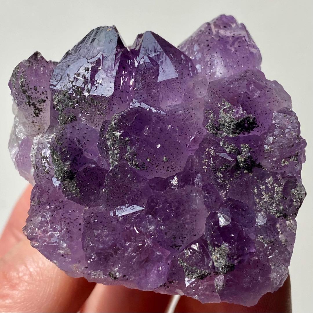 ヤシの実様　お受け取りまでのご確認用ページ