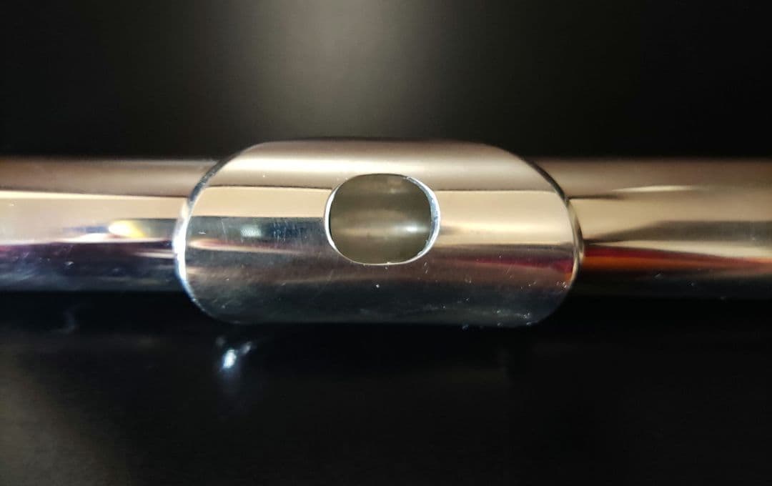 YAMAHA フルート YFL-221 廃盤 ケース バッグ 　部活　サークル