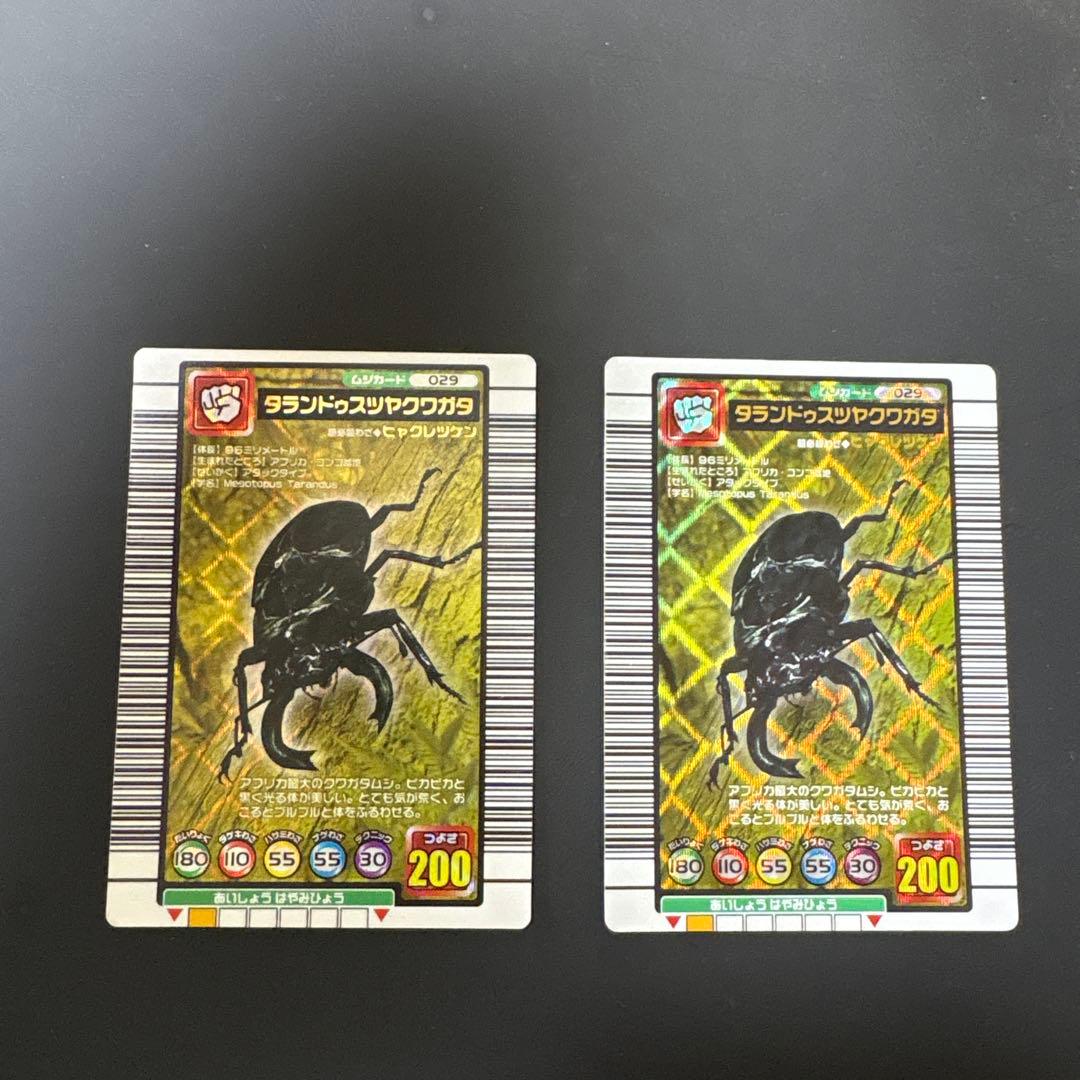 ムシキング　タランドゥスツヤクワガタ トレーディングカード 029