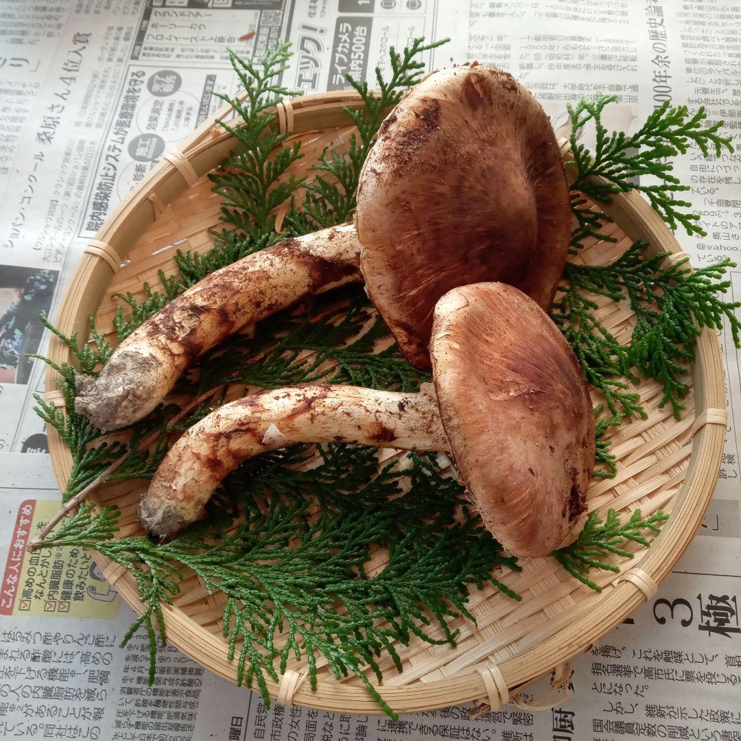 長野県産　松茸　153g