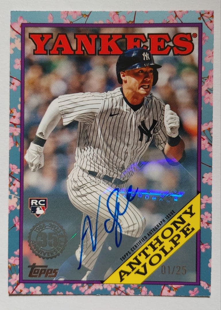 その他 anthony volpe Cherry parallel