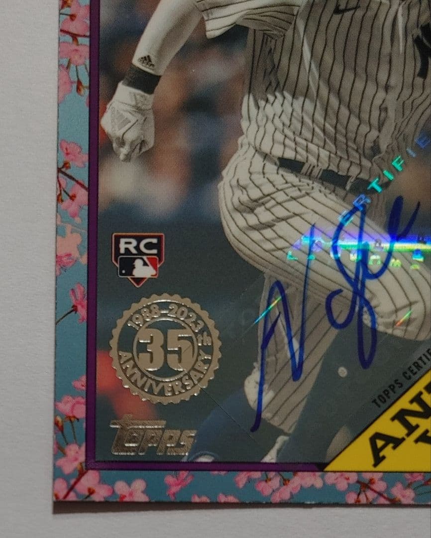 その他 anthony volpe Cherry parallel