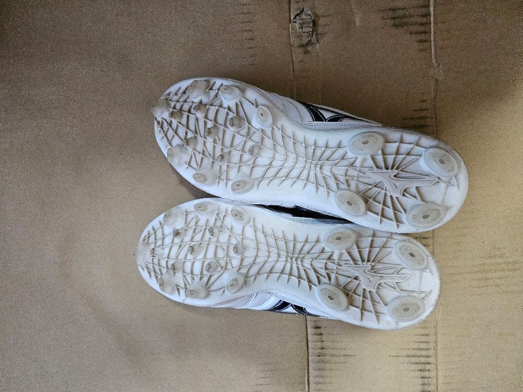 ミズノプロ　オーダースパイク　2９cm