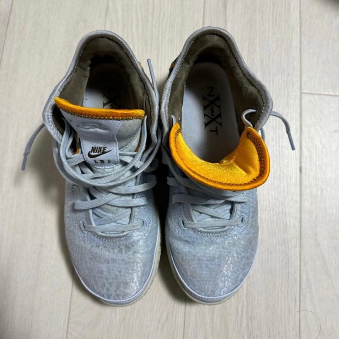 ナイキ レブロン nxxt gen バッシュ