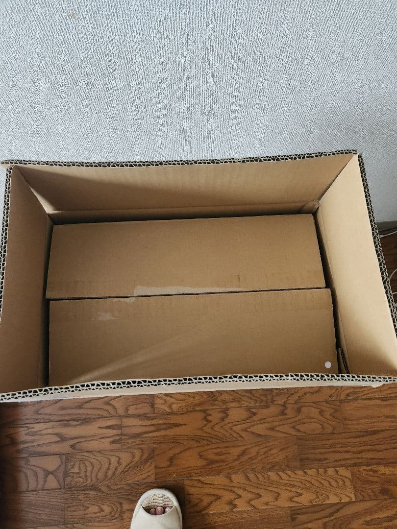 SECRET BASE BIGScaleX-RayGodzillaゴジラ