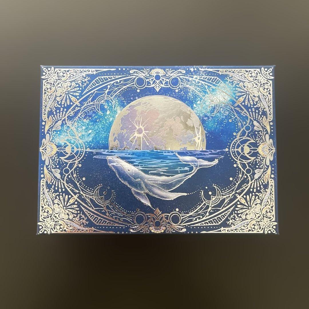 メリーチョコレート✨ ナハトラビュリント　2026 全８種　バレンタイン