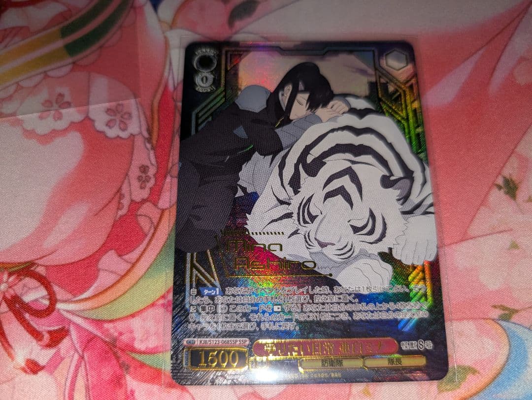 ヴァイスシュヴァルツ 怪獣8号 守りたい日常 亜白ミナ SSP