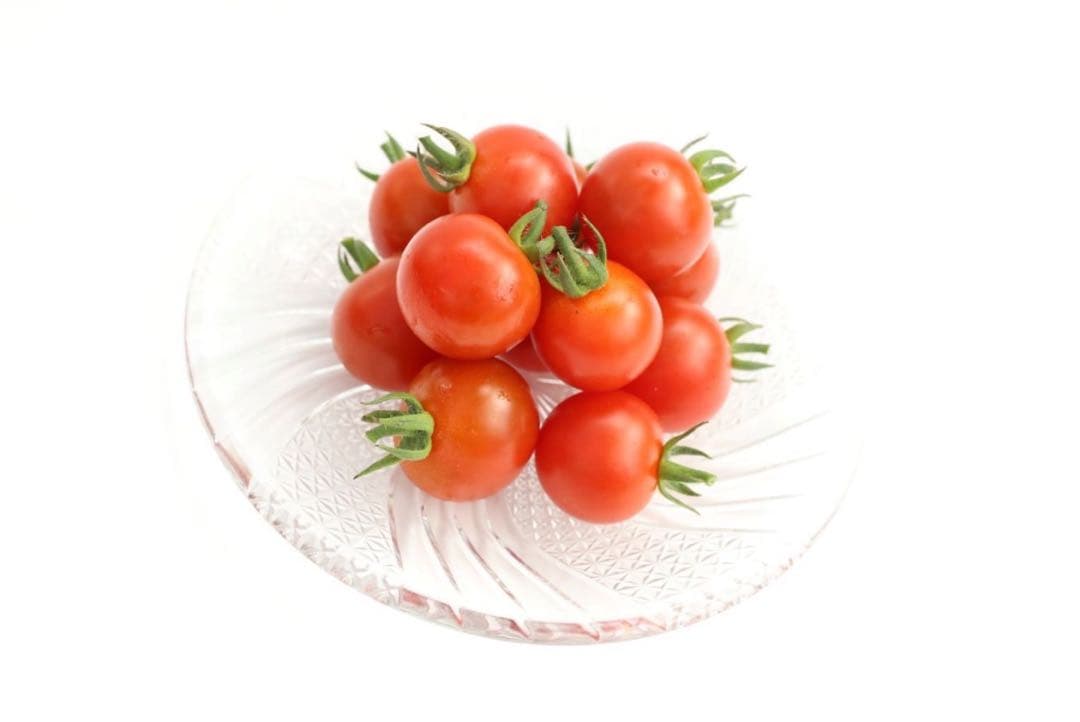 ミニトマト　12キロ　野菜　熊本　おやつ　弁当　おかず　ミネラル　リコピン