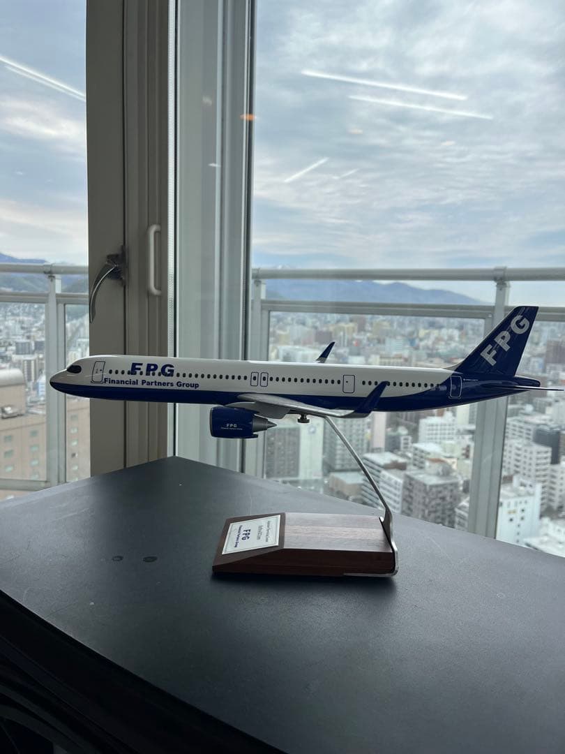 FPG 航空機モデル プラスチック製 約30cm