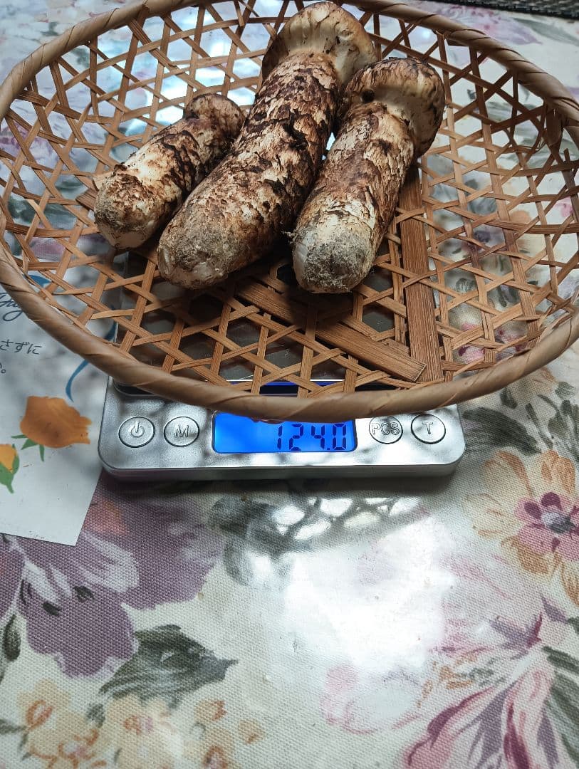 【極上品】三陸産 天然松茸 約124g②