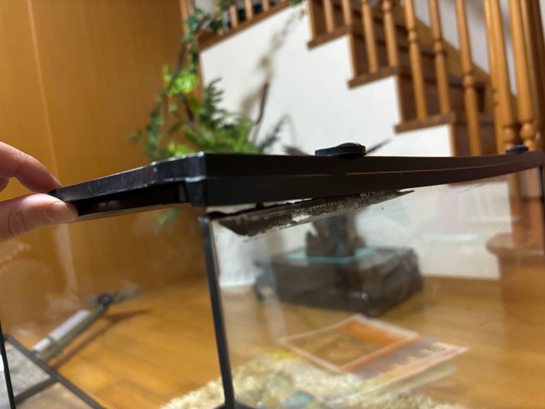 水槽　エキゾテラ グラステラリウム 6045 ケージ